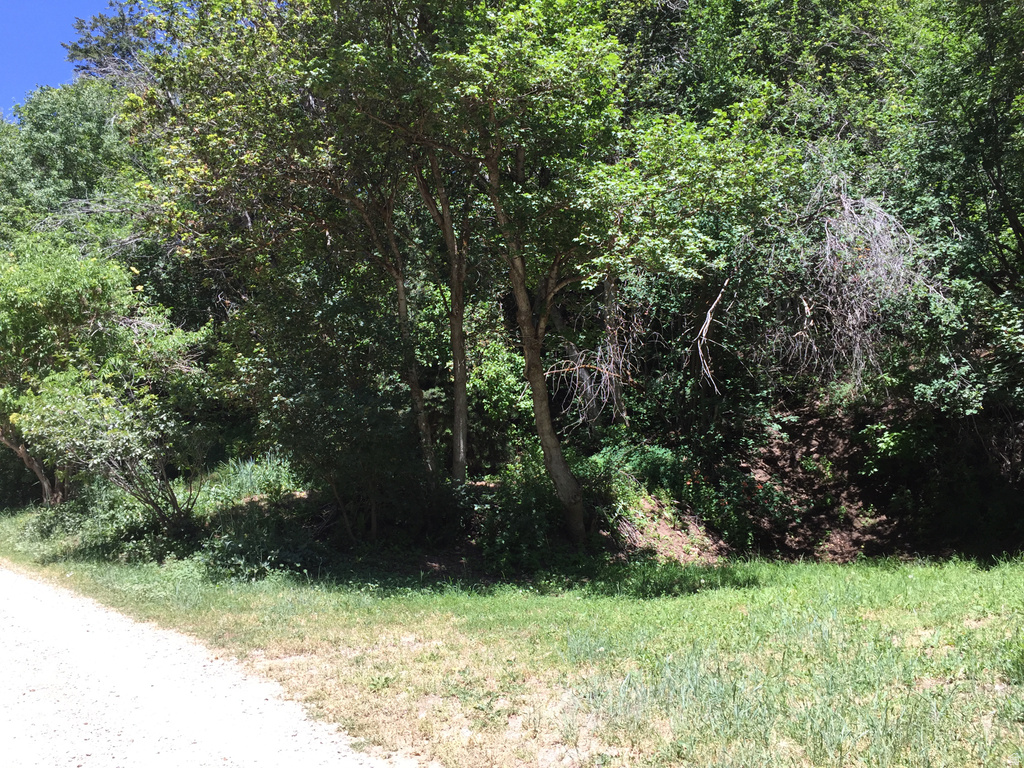6387 E LEFTHAND LN Emigration Canyon, UT 84108