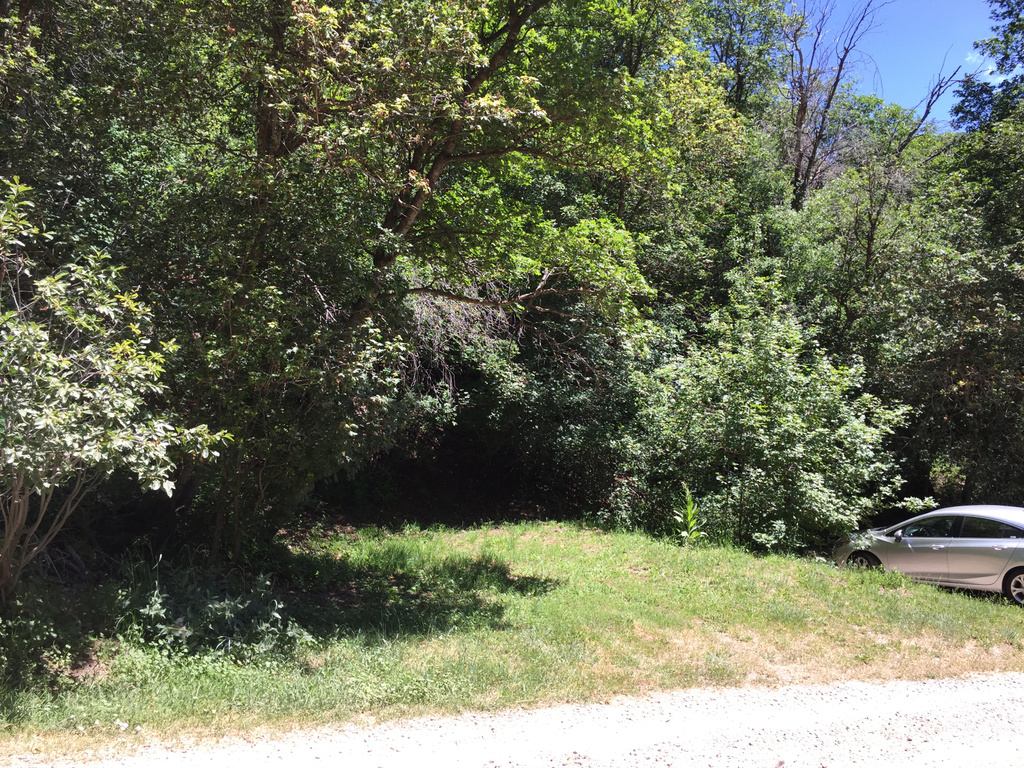 6387 E LEFTHAND LN Emigration Canyon, UT 84108