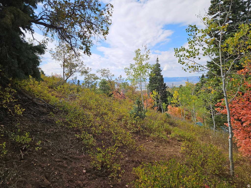 28 E DEER VALLEY DR Fairview, UT 84629