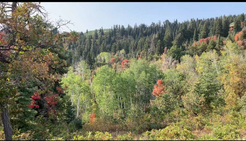 28 E DEER VALLEY DR Fairview, UT 84629