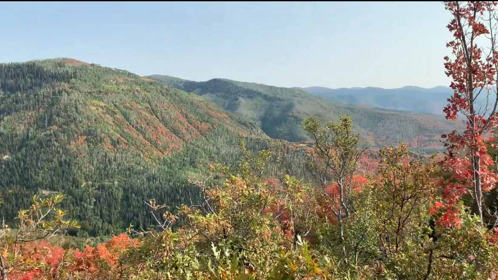 28 E DEER VALLEY DR Fairview, UT 84629