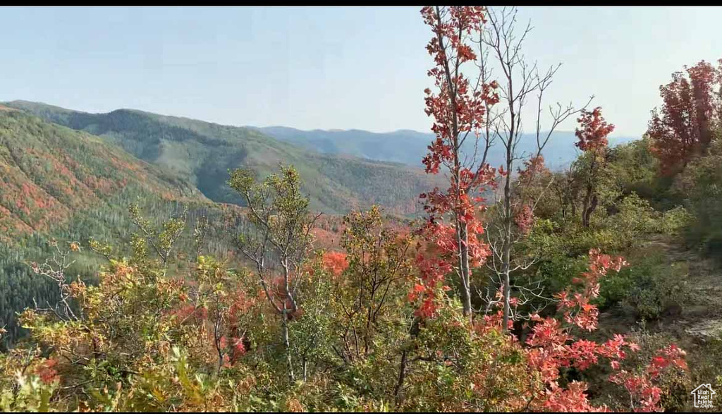 28 E DEER VALLEY DR Fairview, UT 84629