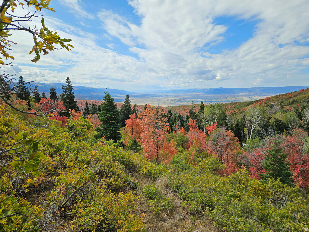 29 E DEER VALLEY DR Fairview, UT 84629