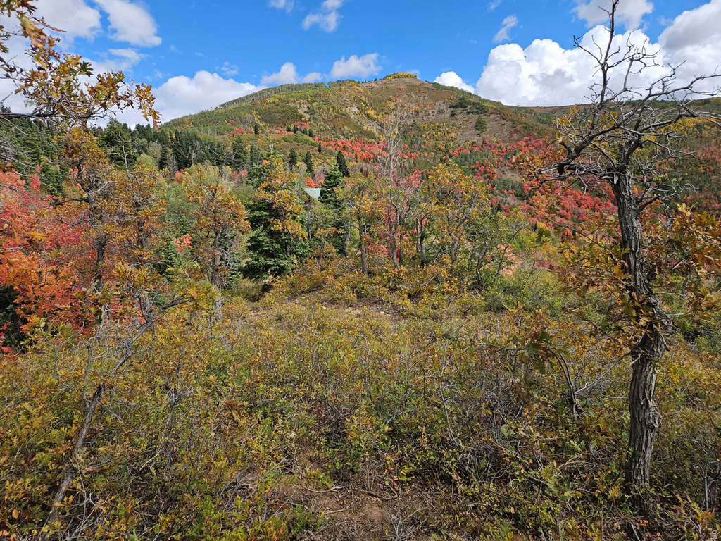 29 E DEER VALLEY DR Fairview, UT 84629