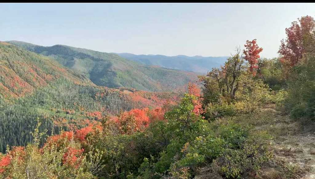 29 E DEER VALLEY DR Fairview, UT 84629