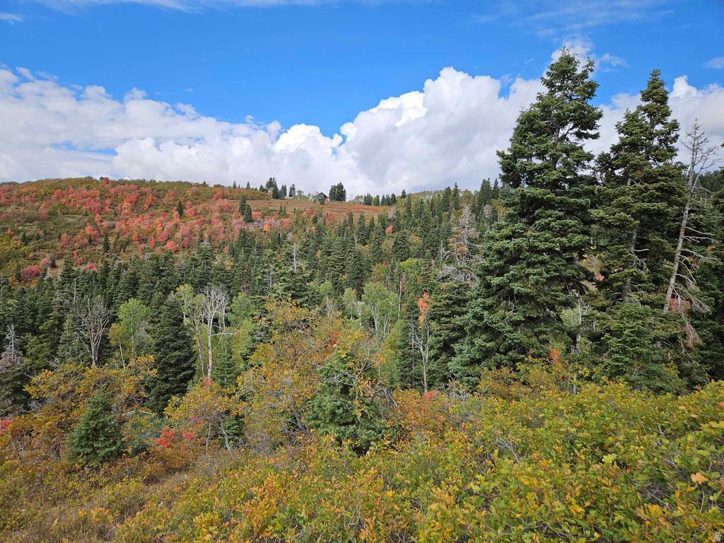 29 E DEER VALLEY DR Fairview, UT 84629