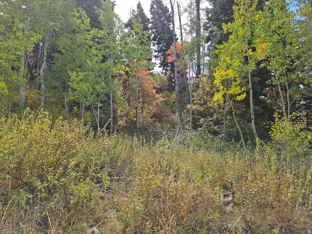 29 E DEER VALLEY DR Fairview, UT 84629