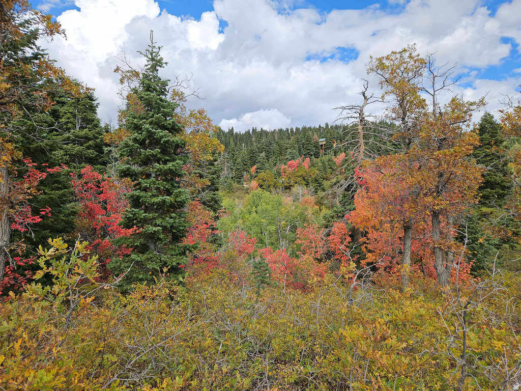 29 E DEER VALLEY DR Fairview, UT 84629