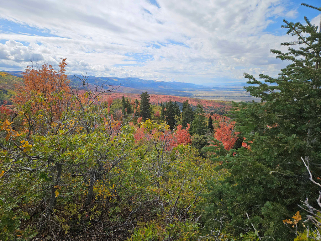 29 E DEER VALLEY DR Fairview, UT 84629