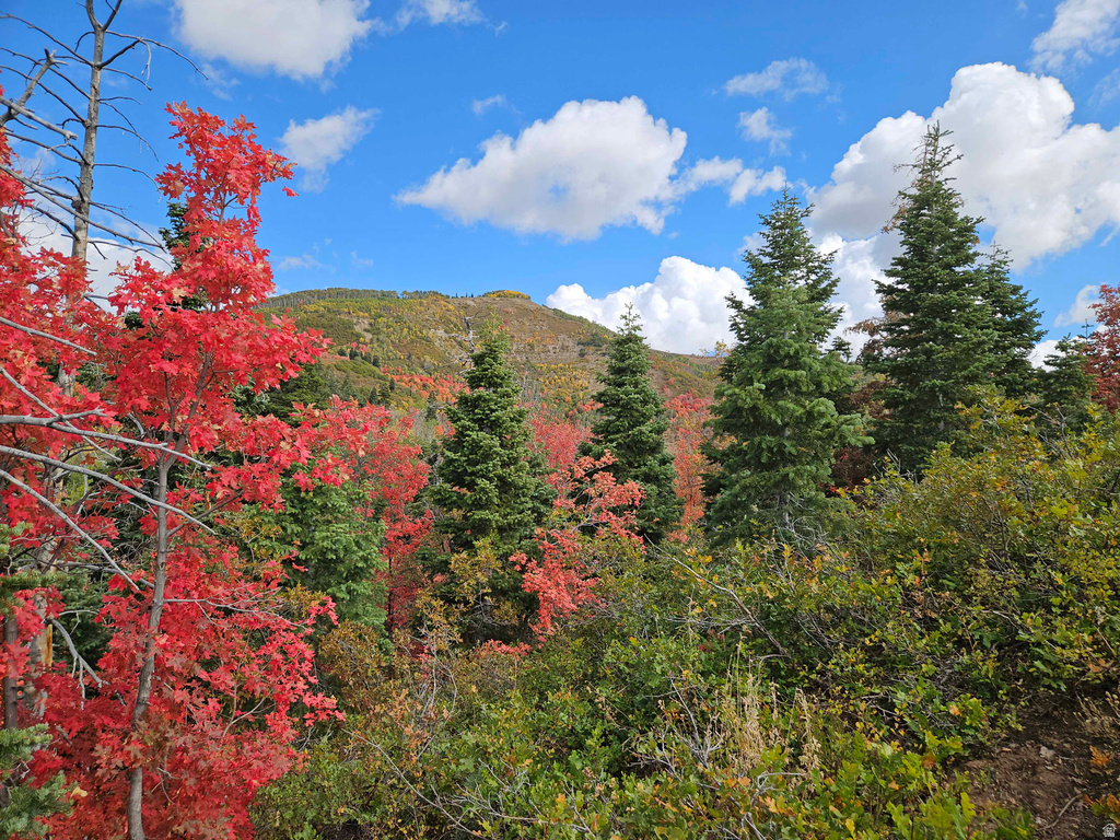 29 E DEER VALLEY DR Fairview, UT 84629