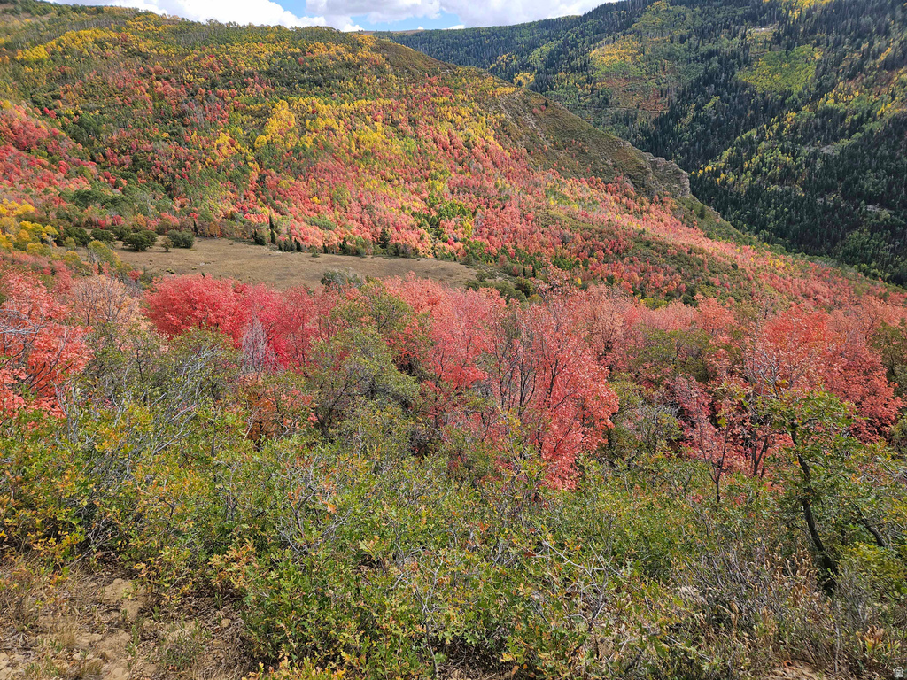 29 E DEER VALLEY DR Fairview, UT 84629