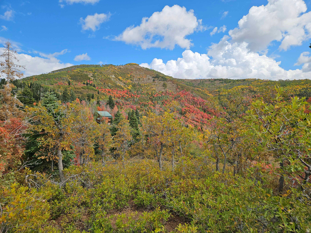 30 E DEER VALLEY DR Fairview, UT 84629