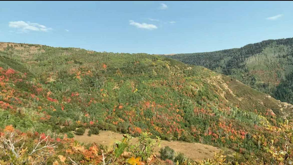 30 E DEER VALLEY DR Fairview, UT 84629