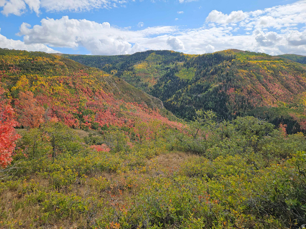 30 E DEER VALLEY DR Fairview, UT 84629