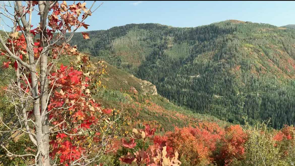 30 E DEER VALLEY DR Fairview, UT 84629