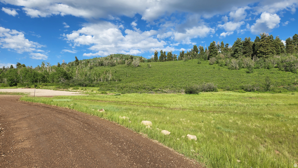 12615 E CEDAR RIDGE DR Fairview, UT 84629