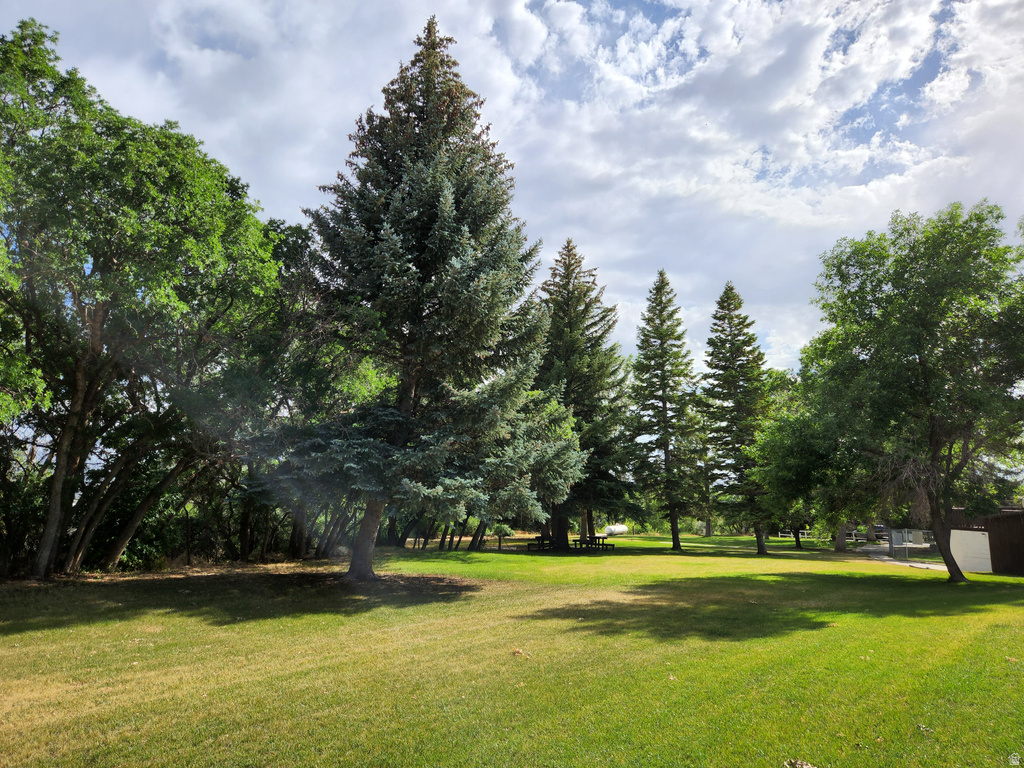 12615 E CEDAR RIDGE DR Fairview, UT 84629