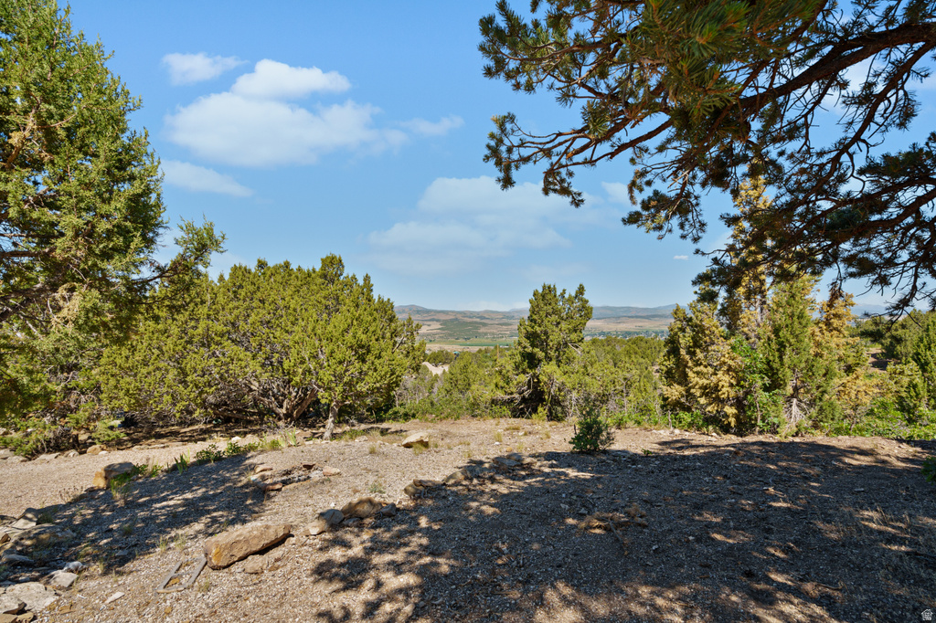 12615 E CEDAR RIDGE DR Fairview, UT 84629