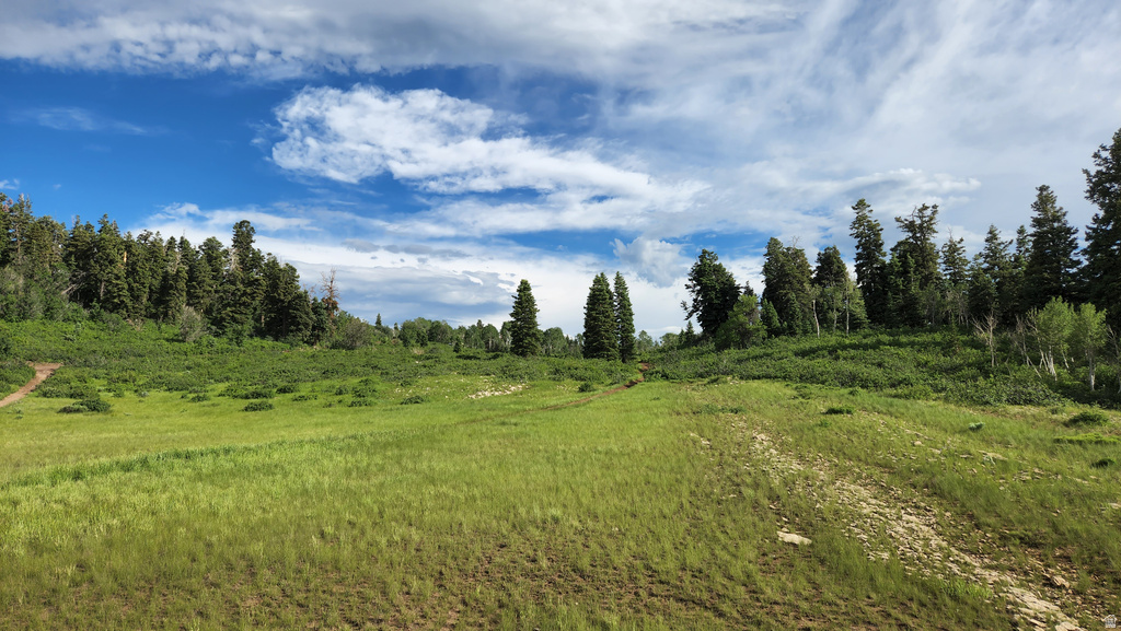 12615 E CEDAR RIDGE DR Fairview, UT 84629