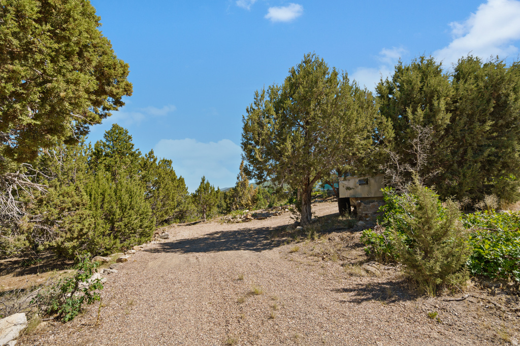 12615 E CEDAR RIDGE DR Fairview, UT 84629