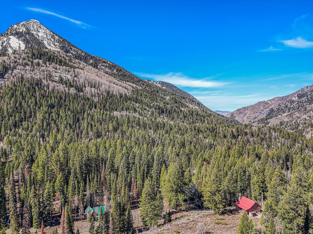 9468 E MOOSE HAVEN LN Brighton, UT 84121