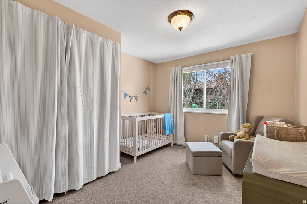 2073 E 10095 S Sandy, UT 84092