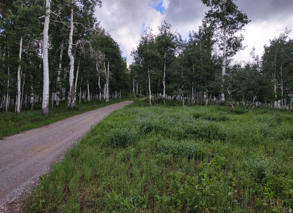 14 E SEE DIRECTIONS Fairview, UT 84629