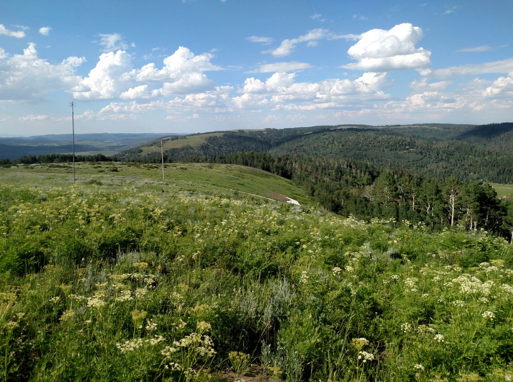 14 E SEE DIRECTIONS Fairview, UT 84629