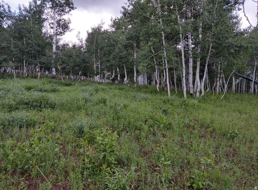 14 E SEE DIRECTIONS Fairview, UT 84629