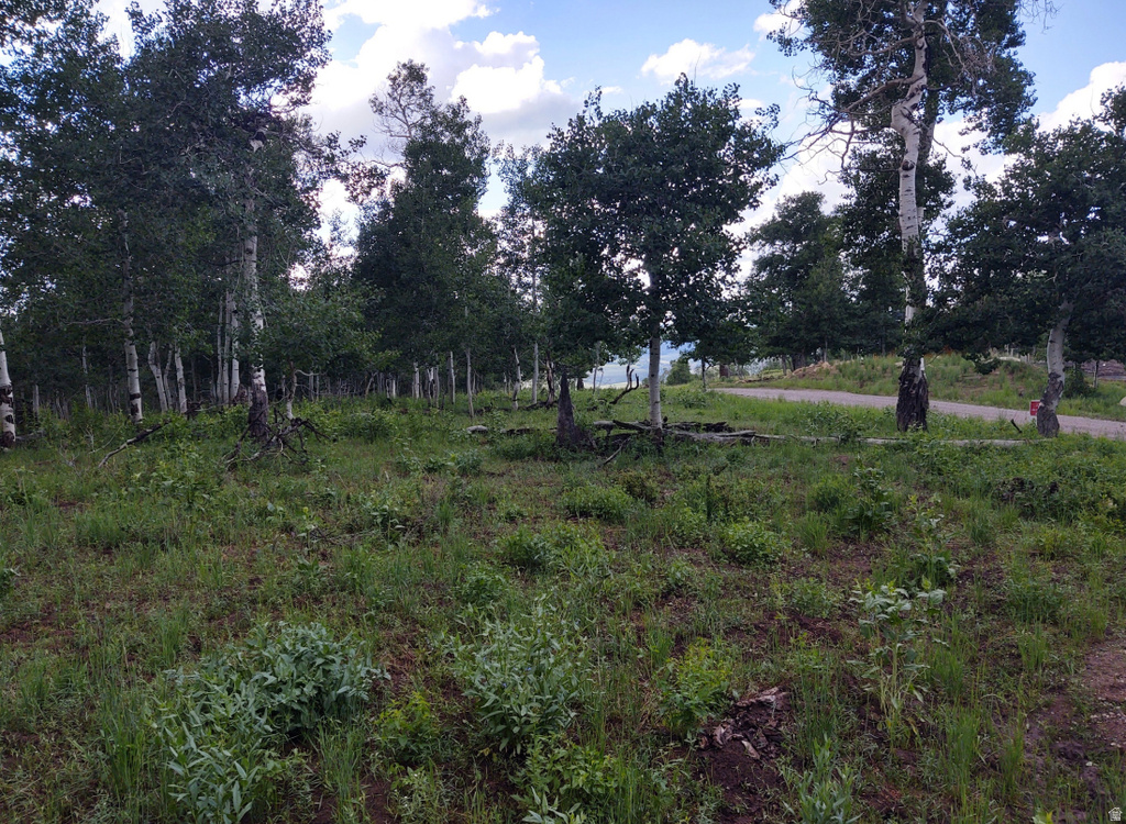 14 E SEE DIRECTIONS Fairview, UT 84629