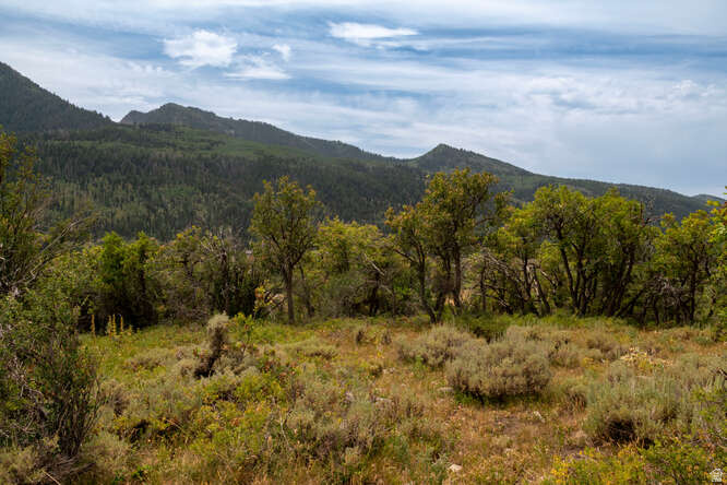  Oakley, UT 84055