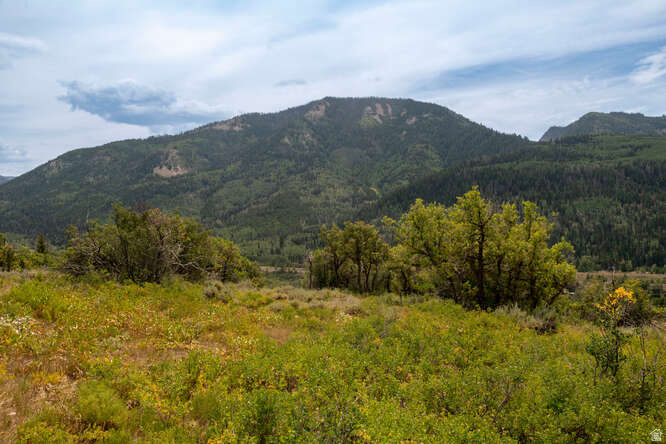  Oakley, UT 84055