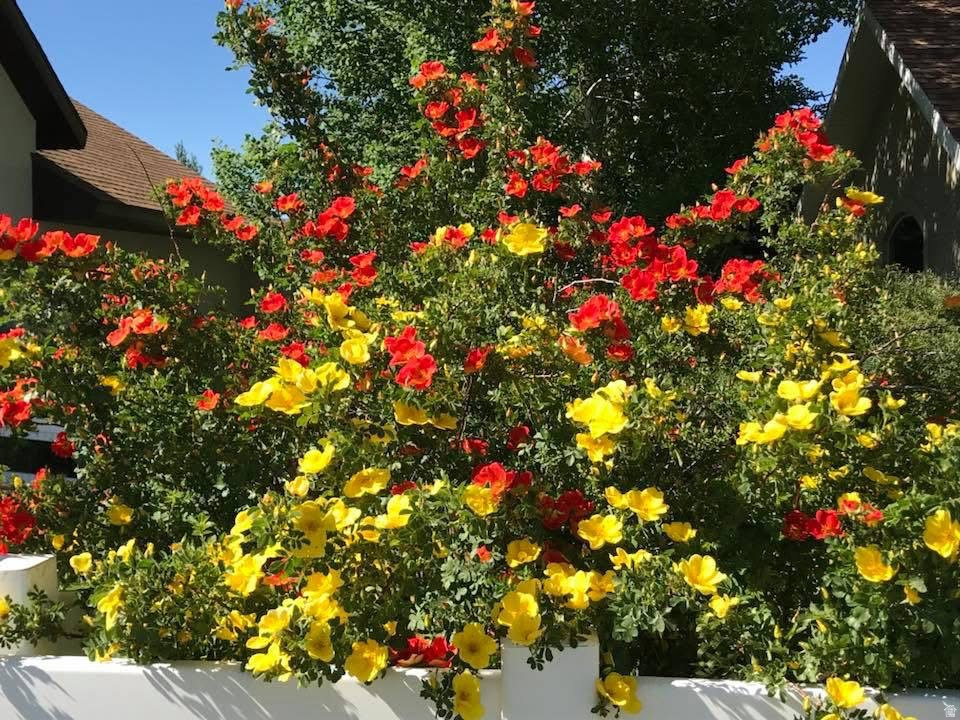 1421 W SETTLEMENT DR Park City, UT 84098