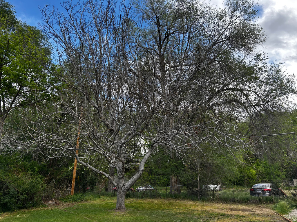 1187 E RIDGEDALE CIR Millcreek, UT 84106