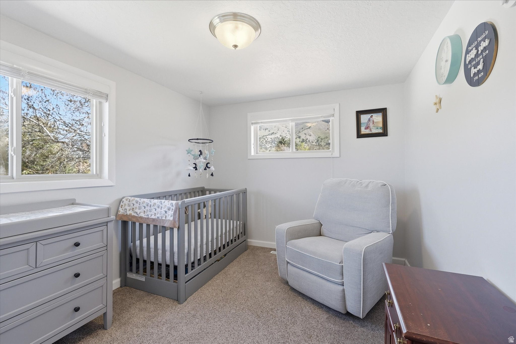 1347 E JUNIPER DR Logan, UT 84321