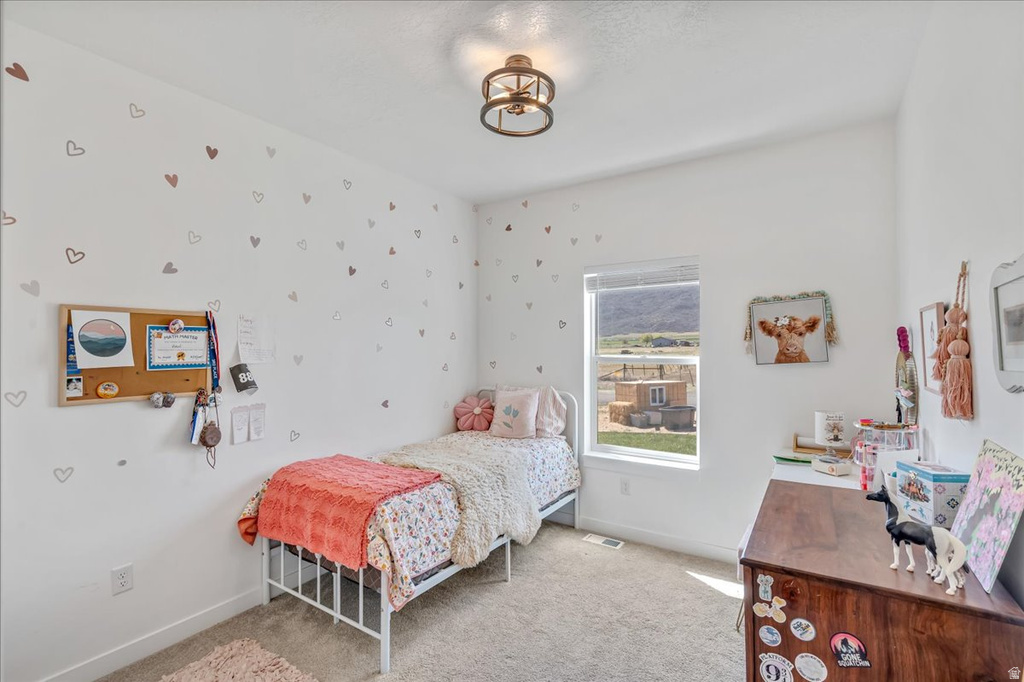 607 S 250 W Fountain Green, UT 84632