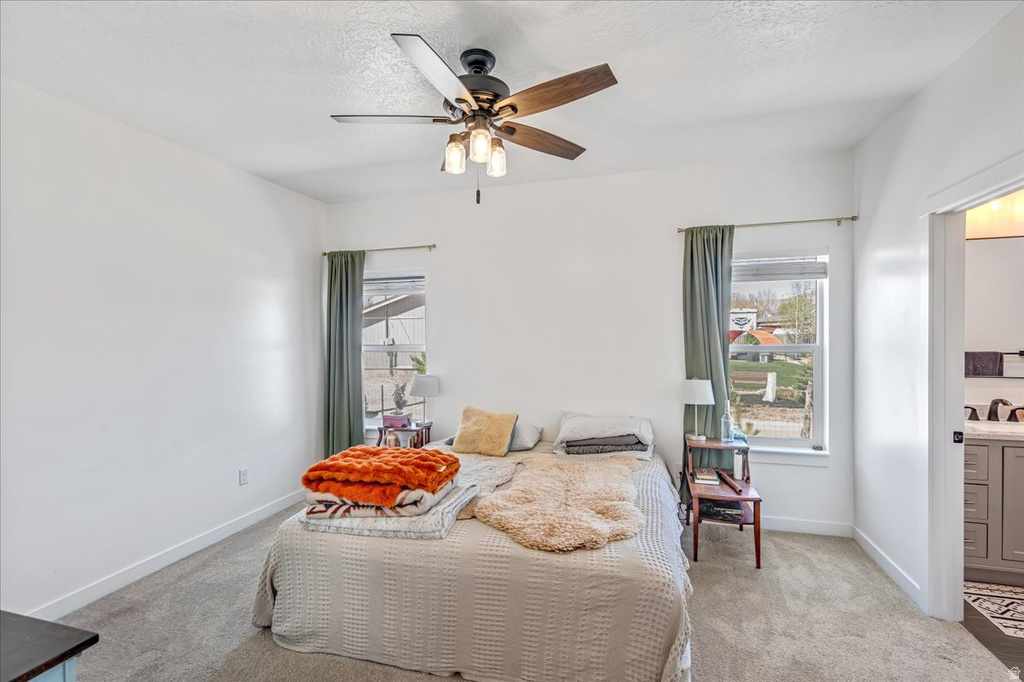 607 S 250 W Fountain Green, UT 84632