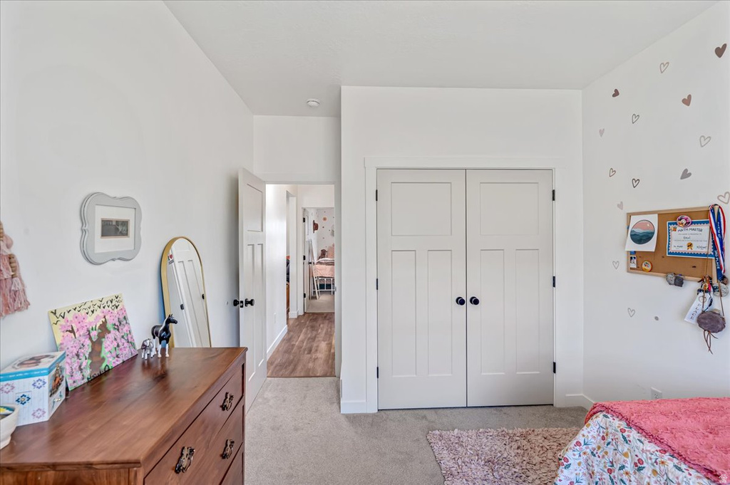 607 S 250 W Fountain Green, UT 84632