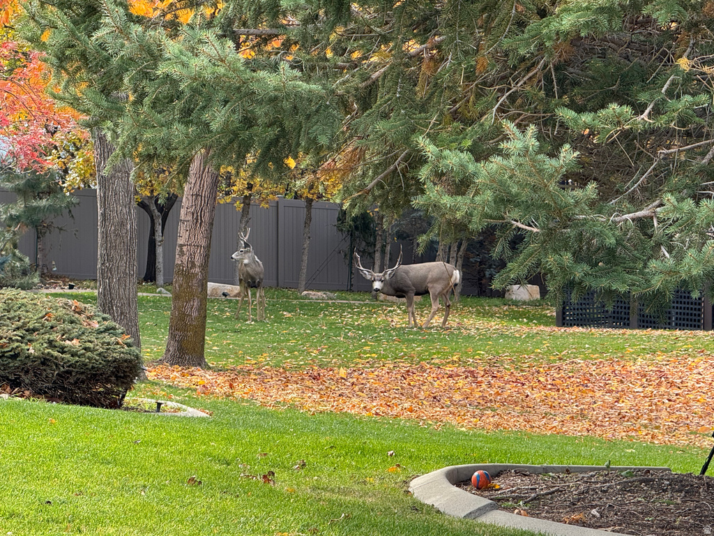 2066 E TIVOLI CT Draper, UT 84020