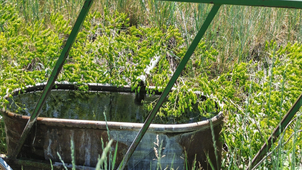 16408 N BEAVER DAM RD Beaverdam, UT 84306