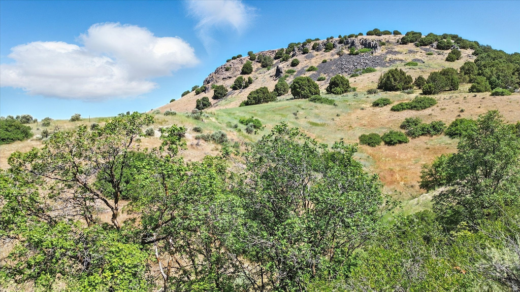 16408 N BEAVER DAM RD Beaverdam, UT 84306