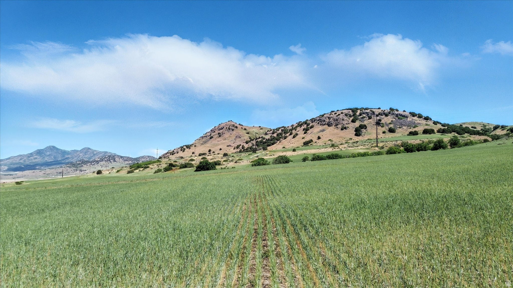 16408 N BEAVER DAM RD Beaverdam, UT 84306