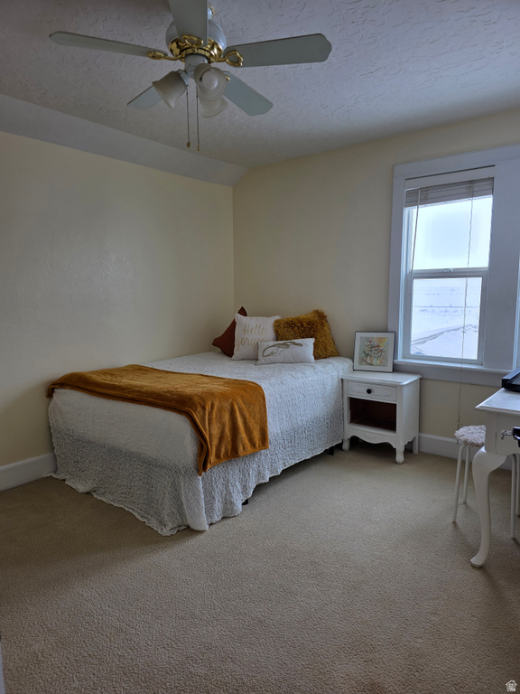 990 N 800 W Lewiston, UT 84320