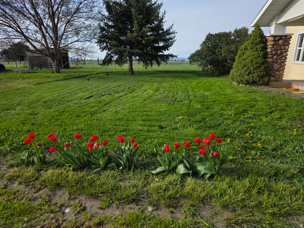 990 N 800 W Lewiston, UT 84320