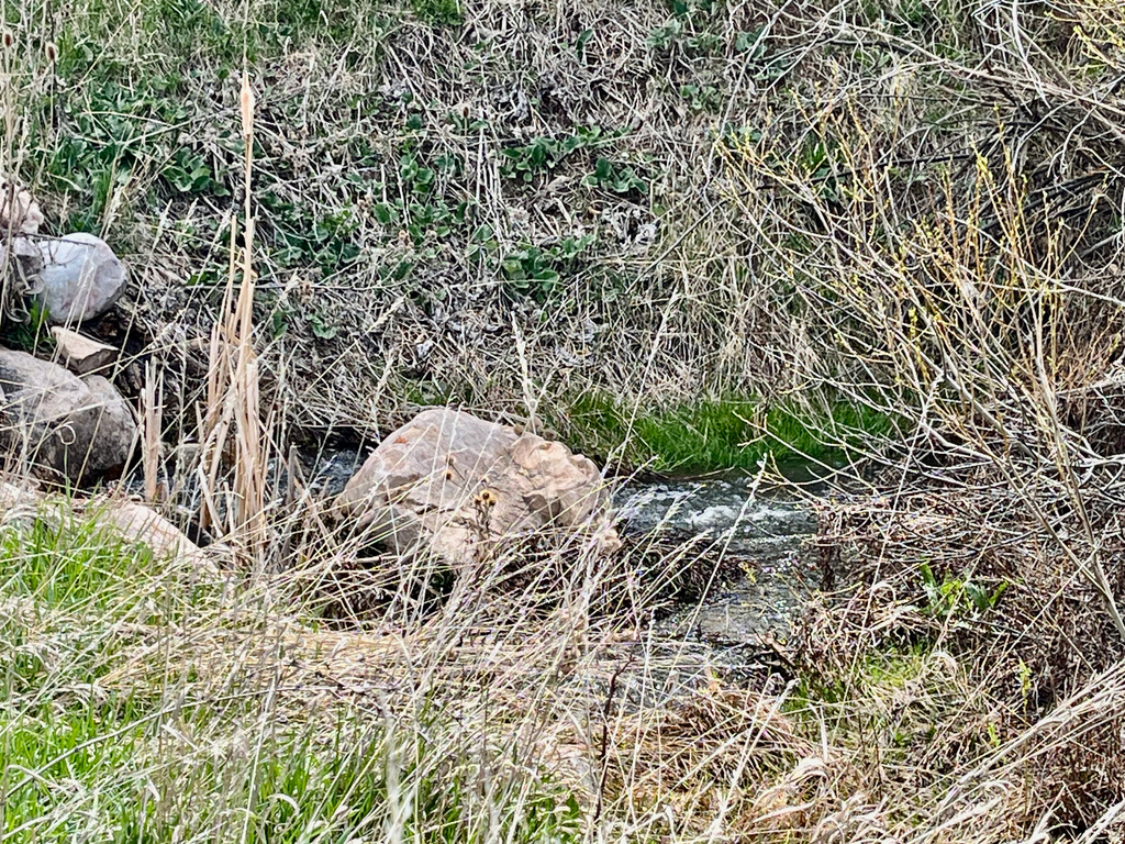 3615 N WOLF LODGE #1206 DR # #1206 Eden, UT 84310