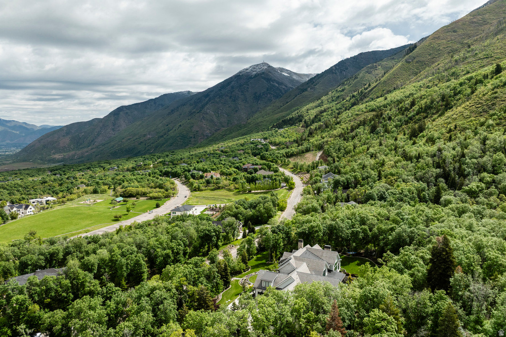 1230 S EAGLE NEST DR Woodland Hills, UT 84653