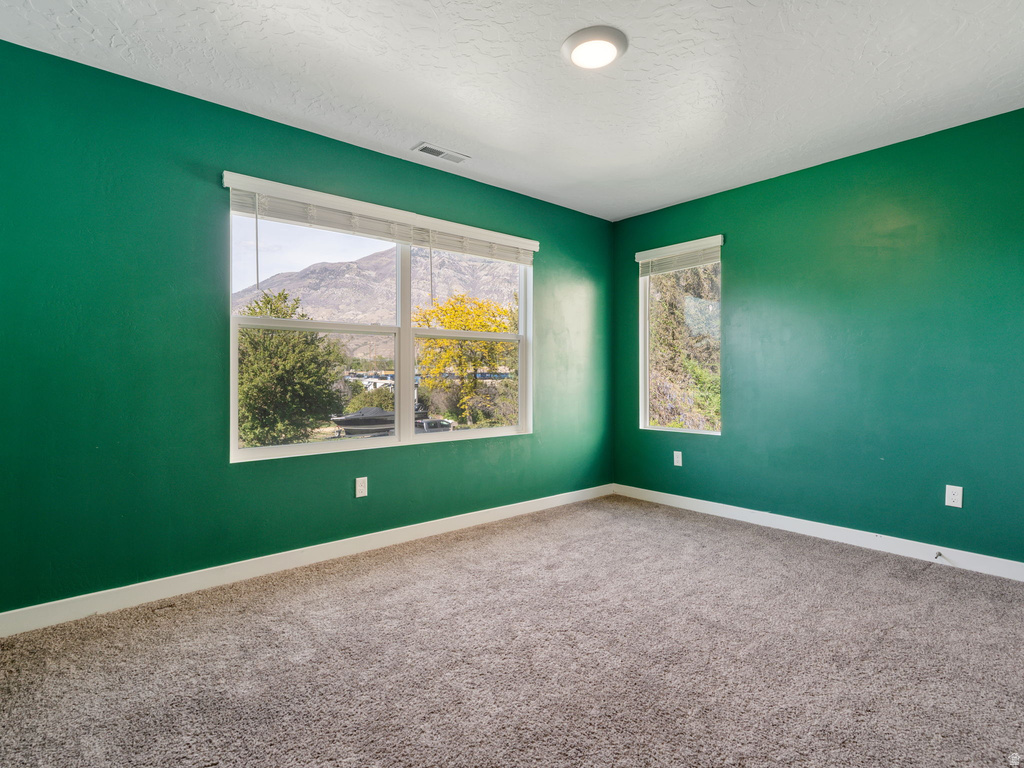 382 W 330 N Pleasant Grove, UT 84062