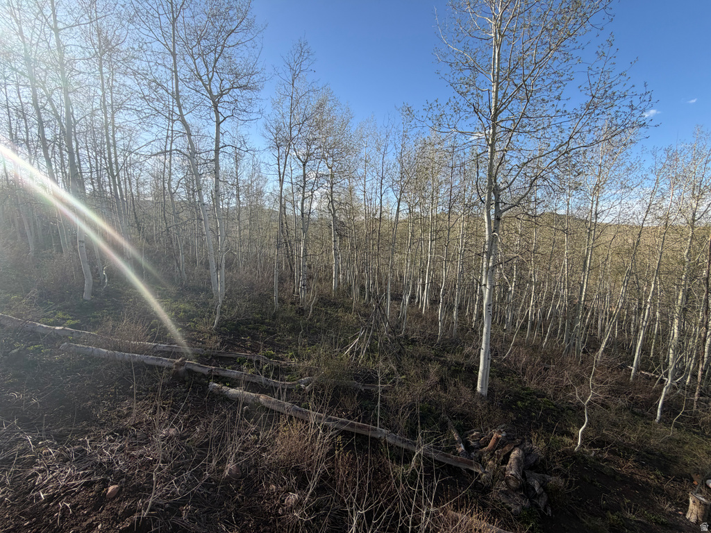 7672 JIM BRIDGER DR Huntsville, UT 84317