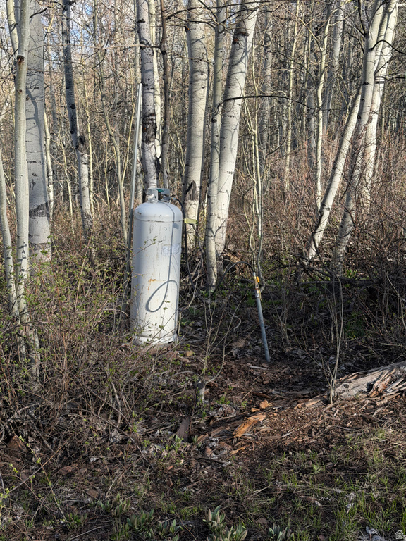 7672 JIM BRIDGER DR Huntsville, UT 84317