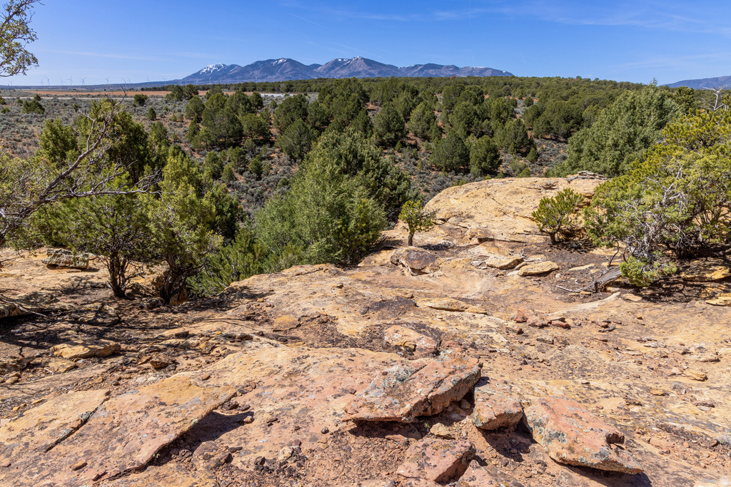 872 S HIDEAWAY CV Monticello, UT 84535